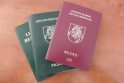 Grupė intelektualų pasisako prieš masinę dvigubą pilietybę Grupė intelektualų pasisako prieš masinę dvigubą pilietybę